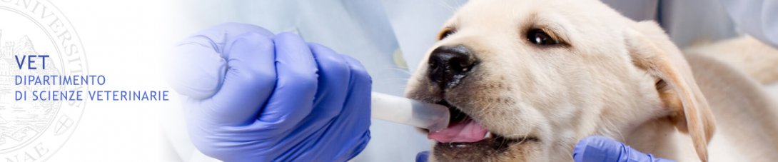 MASTER DI II LIVELLO IN “PROTEZIONE DEGLI ANIMALI UTLIZZATI A FINI SCIENTIFICI”,A.A. 2022-2023, DEL DIPARTIMENTO DI SCIENZE VETERINARIE